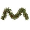 Vickerman Pre-Lit Artificial Christmas Garland (23345)