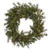 Vickerman Pre-Lit Artificial Christmas Wreath (27440)