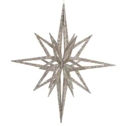 Vickerman Christmas Ornament (343340)