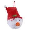 Vickerman Christmas Tree Ornament (378946)