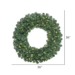 Vickerman Prelit Artificial Christmas Wreath (420645) -Roman Sales Store 4206452md