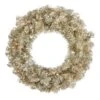 Vickerman Prelit Artificial Christmas Wreath (429129)