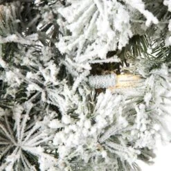 Vickerman Prelit Artificial Christmas Wreath (498552) -Roman Sales Store 4985522md