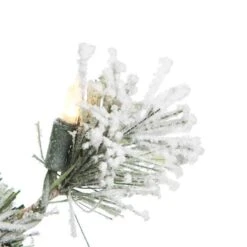 Vickerman Prelit Artificial Christmas Wreath (498552) -Roman Sales Store 4985523md