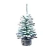 Vickerman Unlit Christmas Tree (3 Pack) (551035)