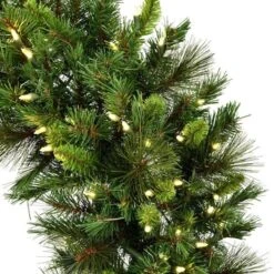 Vickerman Prelit Artificial Christmas Wreath (634288) -Roman Sales Store 6342712md