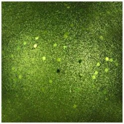 Vickerman Christmas Ornament (661000) 5 Vickerman Christmas Ornament (661000) -Roman Sales Store 661062texmd