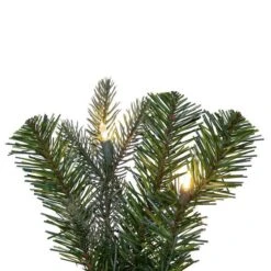 Vickerman Prelit Artificial Christmas Garland (692288) -Roman Sales Store 692288closemd
