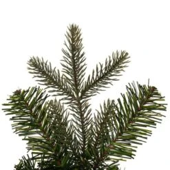 Vickerman Artificial Unlit Christmas Wreath (692301) -Roman Sales Store 692424closemd