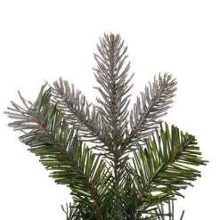 Vickerman Unlit Artificial Christmas Wreath (692974) -Roman Sales Store 692943tipsmd