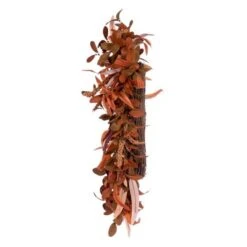 Vickerman Artificial Unlit Christmas Wreath (695296) -Roman Sales Store 695296sidemd