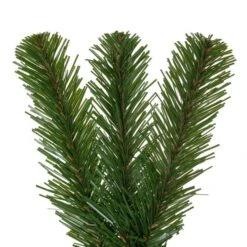 Vickerman Unlit Artificial Christmas Wreath (726389) -Roman Sales Store 726389addmd