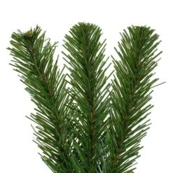 Vickerman Unlit Artificial Christmas Wreath (726402) -Roman Sales Store 726402branchmd